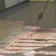 Ardex Preparation with K15