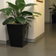 Ardex ICF - Austar
