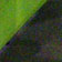 eyeballs