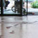 Industrial Cement Floor