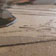 Industrial Cement Floor
