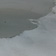 Ardex Industrial Cement Wall